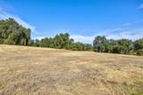 13555 Oakstream Road - Photo 12