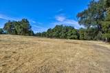 13555 Oakstream Road - Photo 14