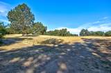 13555 Oakstream Road - Photo 16