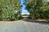 13555 Oakstream Road - Photo 20