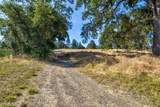 13555 Oakstream Road - Photo 29