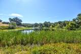13555 Oakstream Road - Photo 34