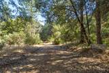 13555 Oakstream Road - Photo 35