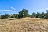 13555 Oakstream Road - Photo 4