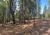 10950 Banning Way - Photo 1