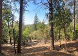 10950 Banning Way - Photo 3