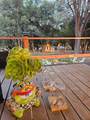 2401 Myrick Road - Photo 50