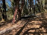 15539 Norvin Way - Photo 4