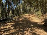 15539 Norvin Way - Photo 8
