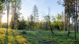 15793 Black Prince Road - Photo 2