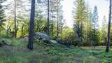 15793 Black Prince Road - Photo 7
