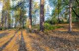 15793 Black Prince Road - Photo 8