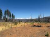 9981 Grizzly Flat Road - Photo 10