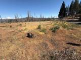 9981 Grizzly Flat Road - Photo 3
