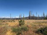 9981 Grizzly Flat Road - Photo 5