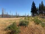 9981 Grizzly Flat Road - Photo 6