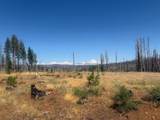 9981 Grizzly Flat Road - Photo 7