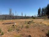 9981 Grizzly Flat Road - Photo 8