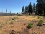 9981 Grizzly Flat Road - Photo 9