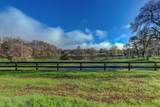 19310 John Born Road - Photo 46