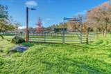 19310 John Born Road - Photo 47