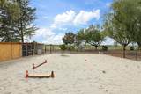 25201 Lammers Road - Photo 34