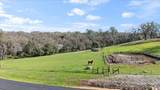 5417 Rolling Rock Road - Photo 41