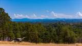 4919 Mother Lode Drive - Photo 40