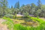 15288 William Drive - Photo 46