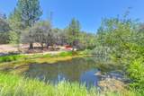 15288 William Drive - Photo 47