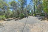15288 William Drive - Photo 52