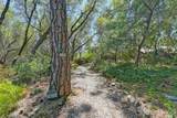 15288 William Drive - Photo 53