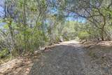 15288 William Drive - Photo 55