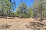 15288 William Drive - Photo 57