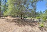 15288 William Drive - Photo 58