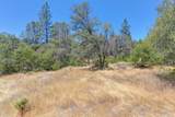 15288 William Drive - Photo 61
