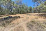 15288 William Drive - Photo 62