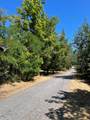 10912 Canyon View Drive - Photo 31