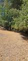 7040 Idlewild Road - Photo 12