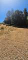 7040 Idlewild Road - Photo 13