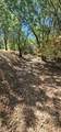 7040 Idlewild Road - Photo 15