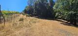 7040 Idlewild Road - Photo 3