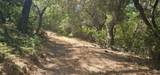 7040 Idlewild Road - Photo 7
