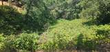7040 Idlewild Road - Photo 8