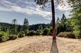 19455 Hogback Road - Photo 11