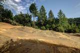 19455 Hogback Road - Photo 13