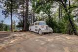19455 Hogback Road - Photo 16