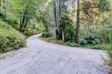 19455 Hogback Road - Photo 44