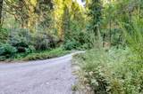 19455 Hogback Road - Photo 45