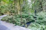 19455 Hogback Road - Photo 48